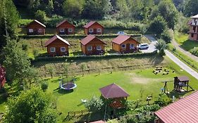 Zielona Przystan